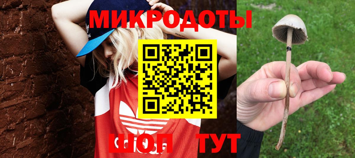 Псилоцибиновые грибы GOLDEN TEACHER Амурск
