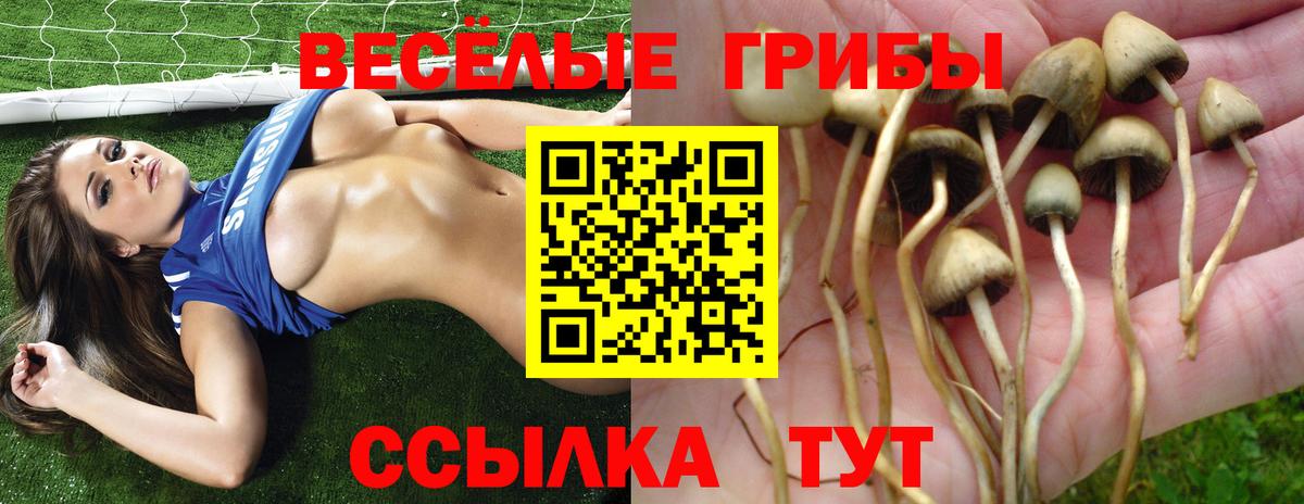 Псилоцибиновые грибы Psilocybe  Псилоцибиновые грибы Psilocybine cubensis  Вход с VPN  Амурск 